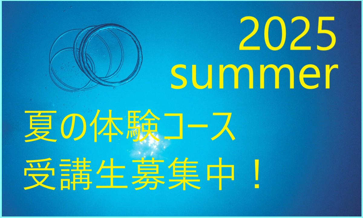 夏期講習